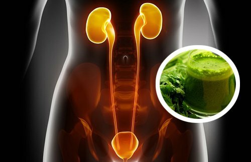 Debug your kidneys with water parsley
